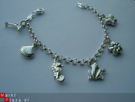 Voorbeeld jasseron armband met bedeltjes