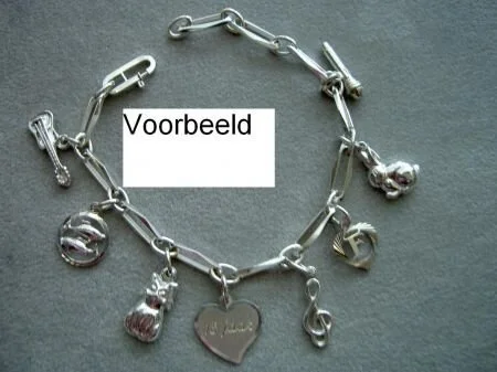 Zilveren Closed for ever armbanden (alle maten)