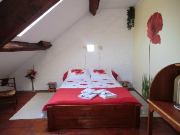 B&B, gezellige vakantiehuisjes en boerencamping Midden Frankrijk - Afbeelding 7