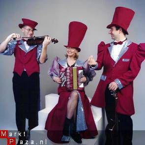 ACCORDEONIST Feestmuziek ! - Afbeelding 2