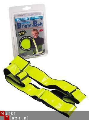 ALPINE MOTOSAFE gehoorprotectie voor motorrijders - Afbeelding 2