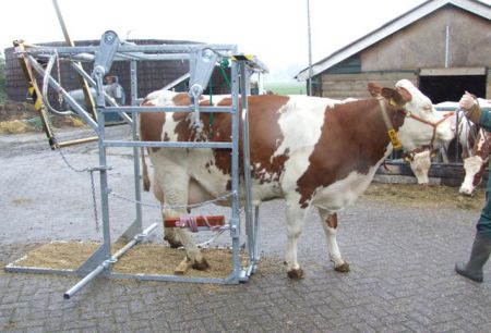 Degelijke Klauwbekapbox, Doorloopbehandelbox SA0022 - nr. 1