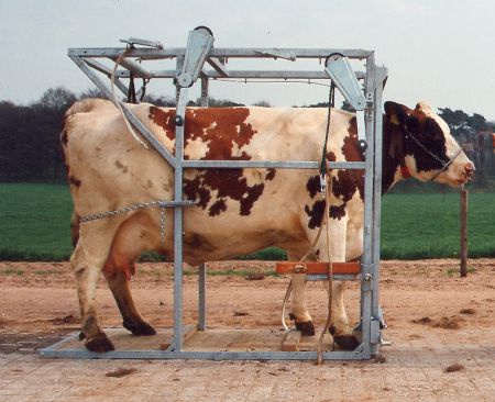 Degelijke Klauwbekapbox SA 0018 - Afbeelding 2