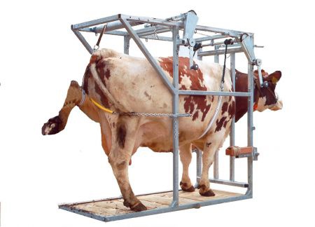 Degelijke Klauwbekapbox SA 0018 - Afbeelding 3