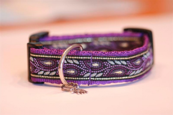Zachte Cushioned Webbing halsband. - nr. 1