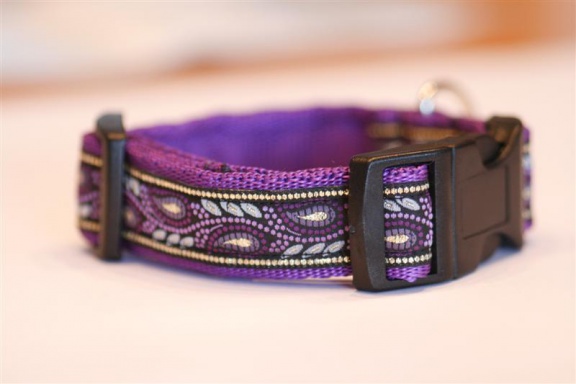 Zachte Cushioned Webbing halsband. - Afbeelding 2