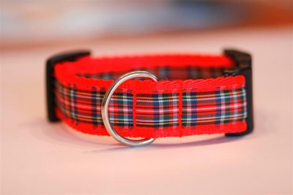 Zachte Cushioned Webbing halsband. - nr. 1
