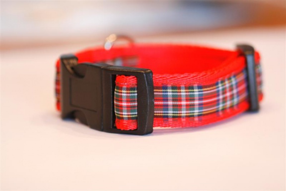 Zachte Cushioned Webbing halsband. - Afbeelding 2