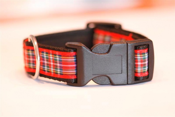 Zachte Cushioned Webbing halsband. - nr. 1