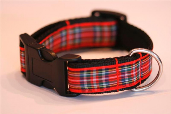Zachte Cushioned Webbing halsband. - Afbeelding 2