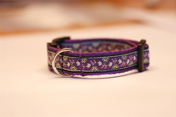 Zachte Cushioned Webbing halsband. - nr. 1