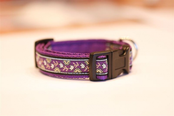 Zachte Cushioned Webbing halsband. - Afbeelding 2