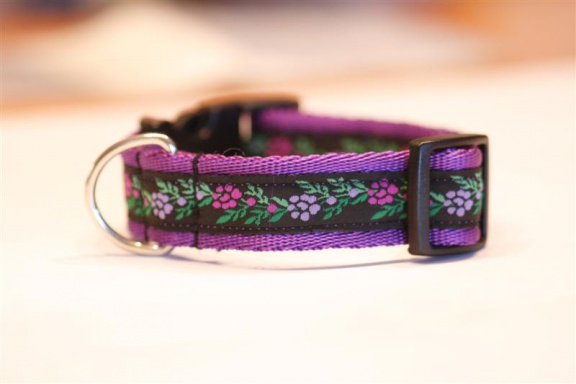Zachte Cushioned Webbing halsband. - nr. 1