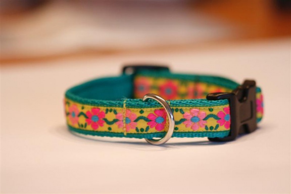 Zachte Cushioned Webbing halsband. - nr. 1