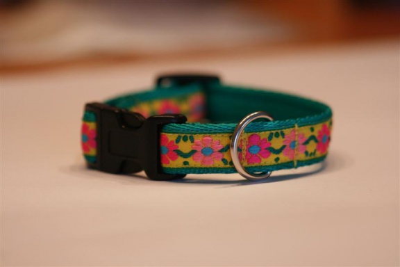 Zachte Cushioned Webbing halsband. - Afbeelding 2