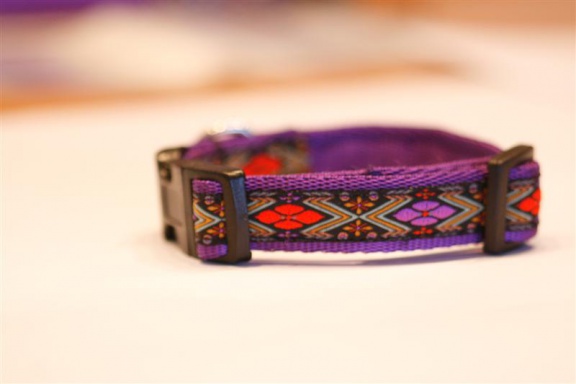 Zachte Cushioned Webbing halsband. - Afbeelding 2