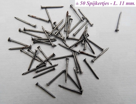 === ± 50 Kleine spijkertjes = z.g.a.n. === 29238