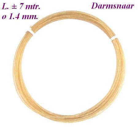 = Darm snaar Engelse klok = Ø 1.4 mm.= 12623