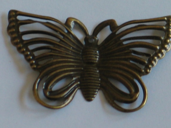 Bronze butterfly