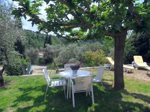 Provence comfortabel 8 pers. huis tussen olijfbomen - Afbeelding 3