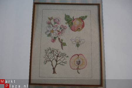 Twee Borduur-telpatronen voor biologie les - tulp en appel. - Afbeelding 2