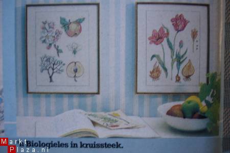 Twee Borduur-telpatronen voor biologie les - tulp en appel. - Afbeelding 3