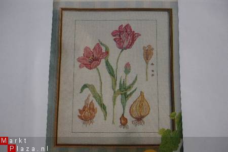 Twee Borduur-telpatronen voor biologie les - tulp en appel. - Afbeelding 4