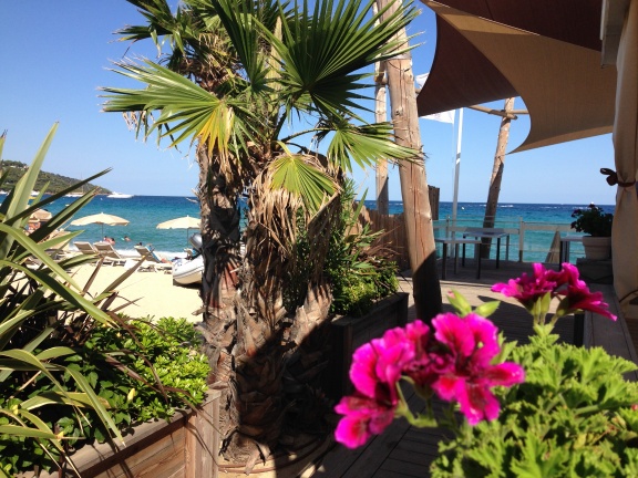 mobilhome camping kontiki Toison d'Or, en camping St Aygulf plage in Frejus. - nr. 1