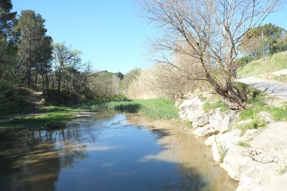 Naturisme, Provence, Mont Ventoux, Bélézy - Afbeelding 6