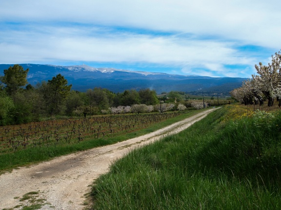 Naturisme, Provence, Mont Ventoux, Bélézy - Afbeelding 7