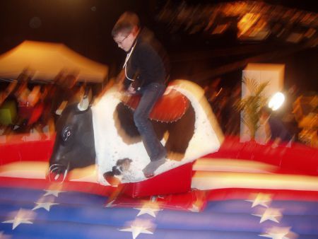 RODEOSTIER HUREN - Afbeelding 2
