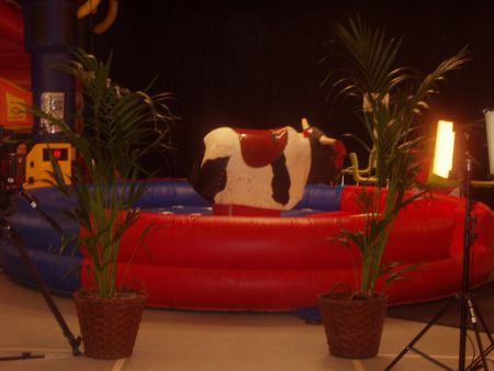RODEOSTIER HUREN - Afbeelding 3