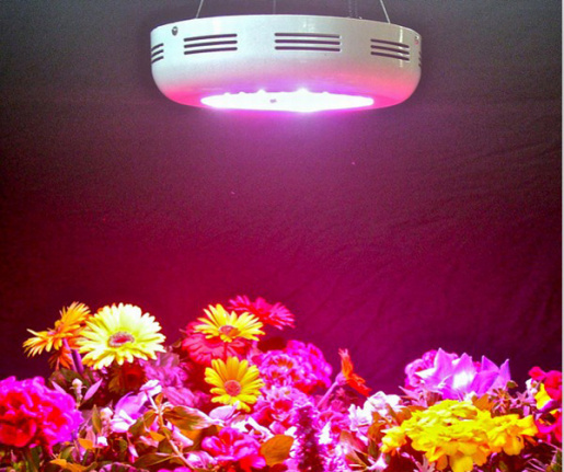 UFO LED Kweeklampen ronde groeilamp voor planten - Afbeelding 4