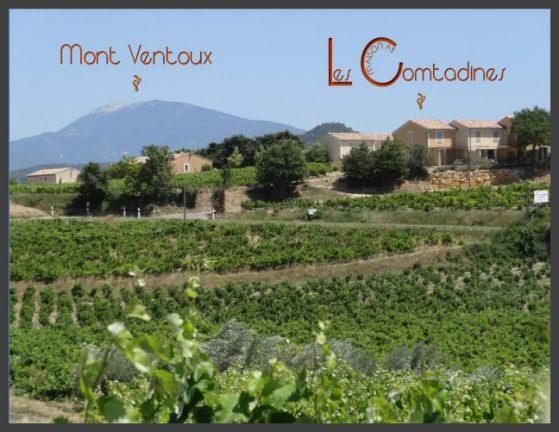 Provence - Omgeving Mont Ventoux - Gezellig vakantiehuis met prachtig uitzicht over de wijngaarden v - Afbeelding 8