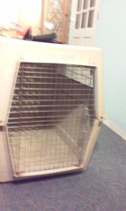 Dieren KENNEL of BENCH, sterk hard-polyester. via >>> www.MoleneindKringloop.nl. - Afbeelding 3