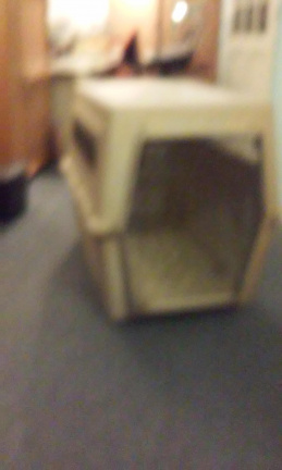 Dieren KENNEL of BENCH, sterk hard-polyester. via >>> www.MoleneindKringloop.nl. - Afbeelding 5