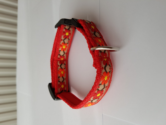 Zachte Cushioned Webbing halsband. - nr. 1