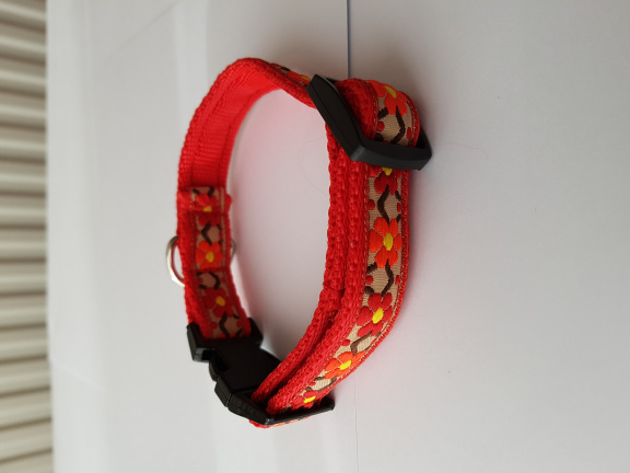 Zachte Cushioned Webbing halsband. - Afbeelding 2