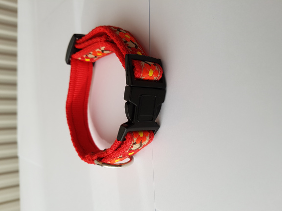Zachte Cushioned Webbing halsband. - Afbeelding 3