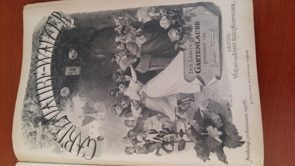 Antiek Boek "Die Gartenlaube" uit 1895 met tekeningen, illustraties en bladmuziek door Ernst Keil - Afbeelding 5