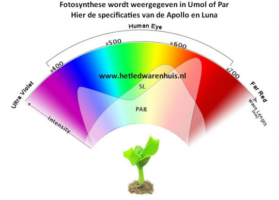 LED Kweeklamp Apollo 2 ( Tijdelijk in prijs verlaagd !! ) - Afbeelding 6