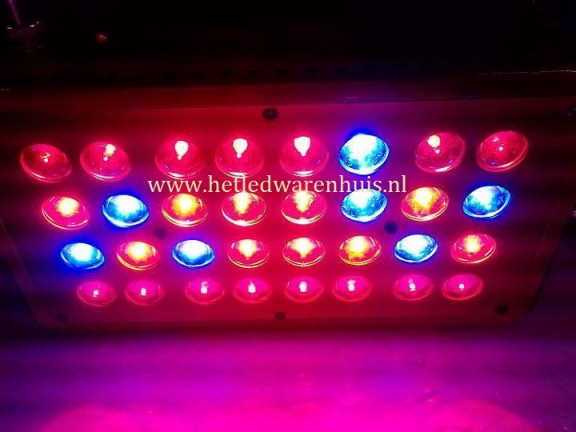 LED Kweeklamp Apollo 2 ( Tijdelijk in prijs verlaagd !! ) - Afbeelding 2