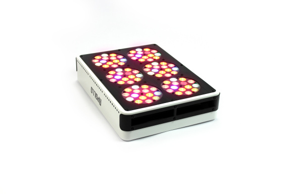 Led Kweeklamp Apollo 6 - nr. 1