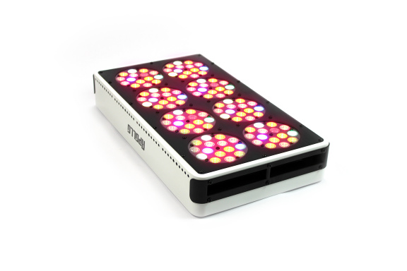 Led Kweeklamp Apollo 8 - nr. 1