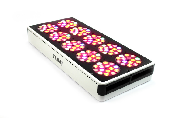 LED Kweeklamp Apollo 10 - nr. 1