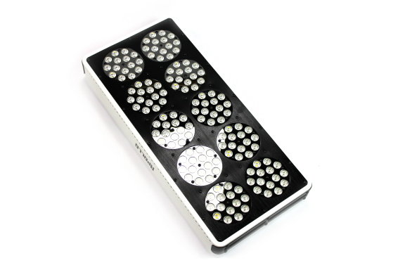 LED Kweeklamp Apollo 10 - Afbeelding 4