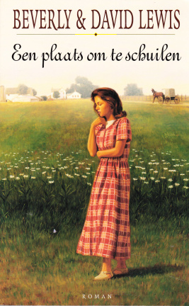 EEN PLAATS OM TE SCHUILEN - Beverly & David Lewis