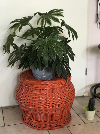Vintage retro oranje rieten (was)mand - nr. 1