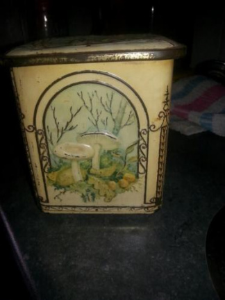 oud blik met paddestoelen - nr. 1