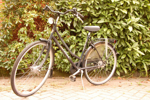 Bijna Nieuw: èèn goede 28'' inch Altra Milennium city trend dames fiets 53 cm frame maat - nr. 1